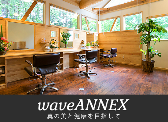 waveANNEX