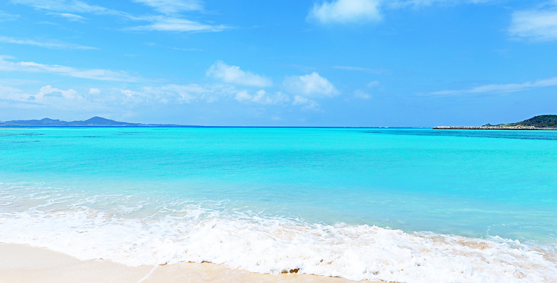 地球再生5％プロジェクト達成に向けて