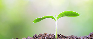 商品の購入と会員制度