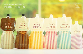 ビーワンシステムとは