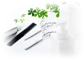 ビーワンシステムとは